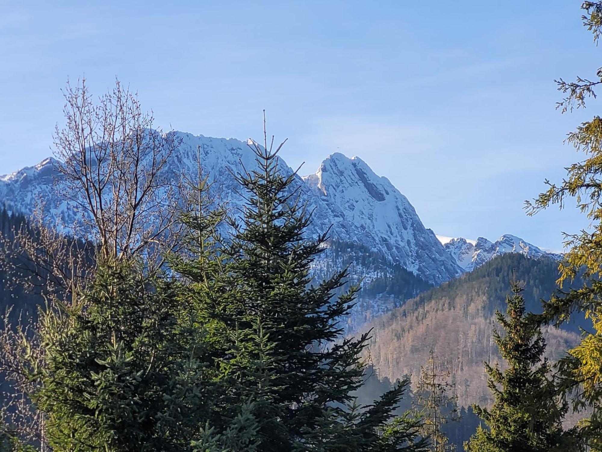 Pokoje Goscinne "Tecza" Zakopane Exterior foto