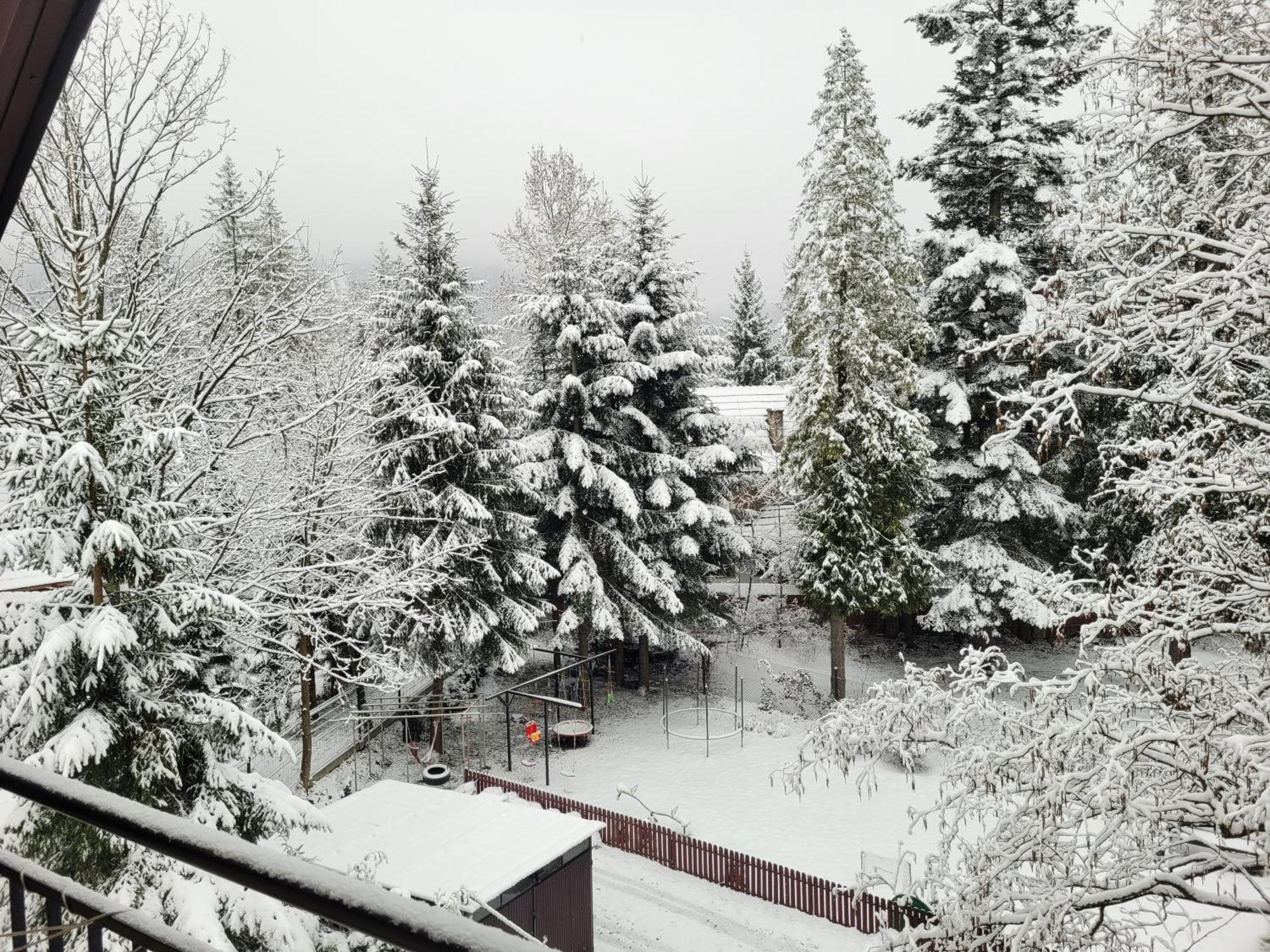 Pokoje Goscinne "Tecza" Zakopane Exterior foto