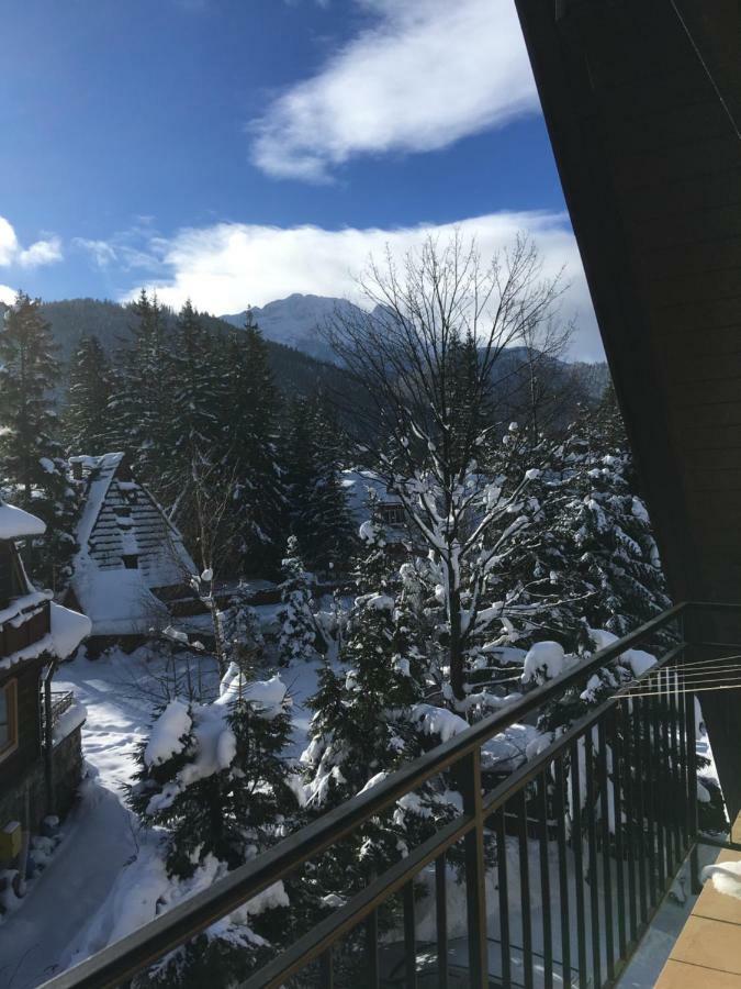 Pokoje Goscinne "Tecza" Zakopane Exterior foto